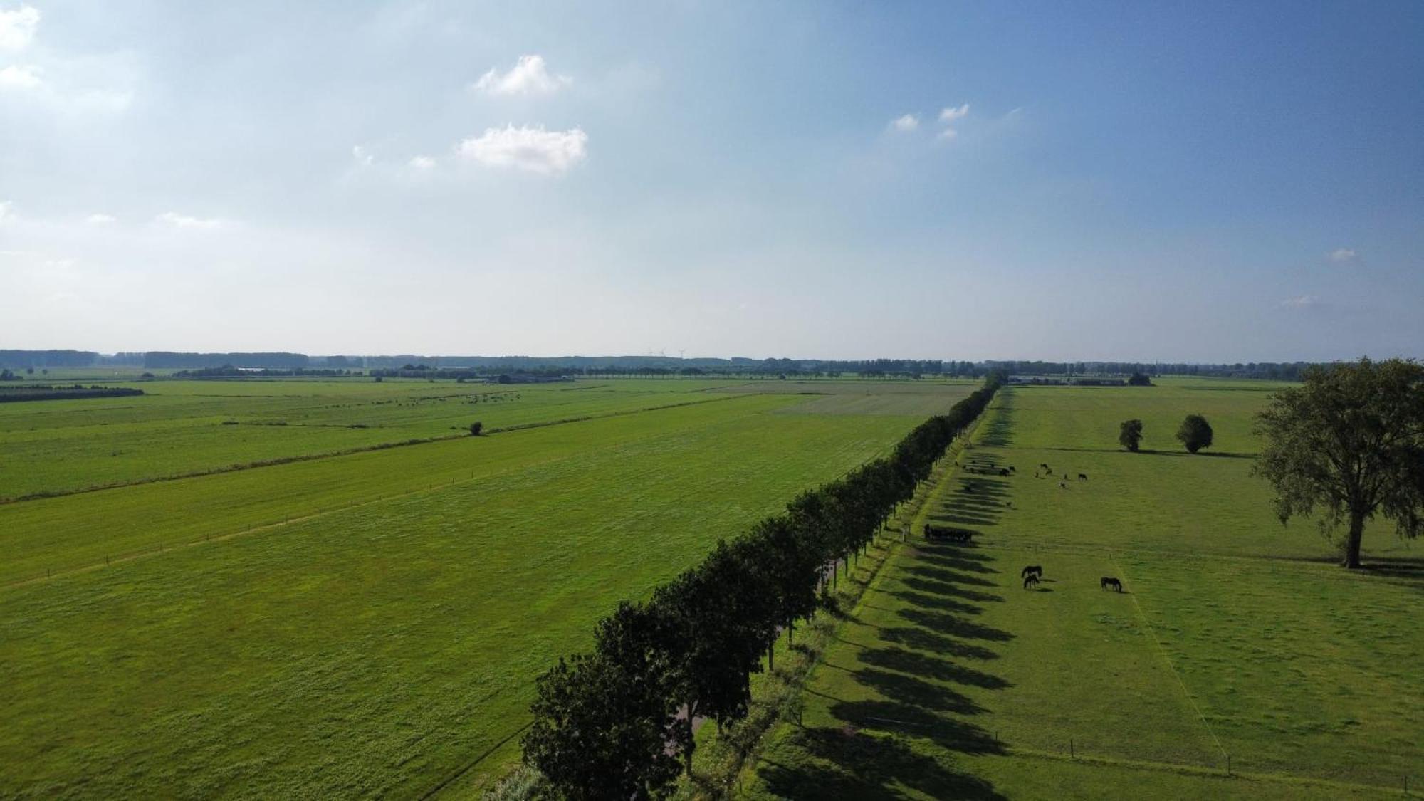 Landelijke Huis In De Betuwe Tricht Экстерьер фото