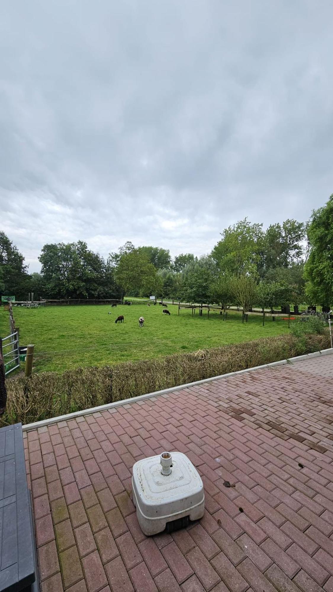 Landelijke Huis In De Betuwe Tricht Экстерьер фото